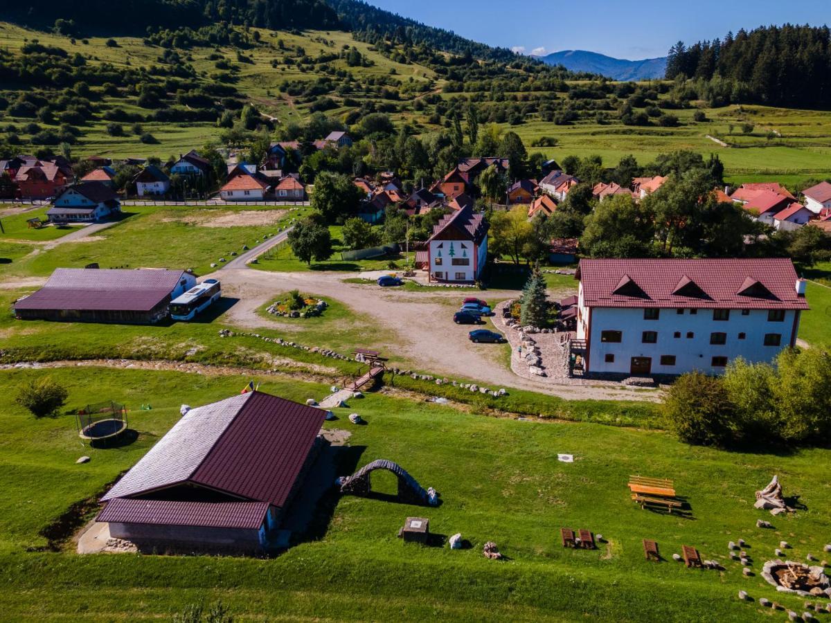 Pensiunea 3 Brazi Zarnesti Exterior photo