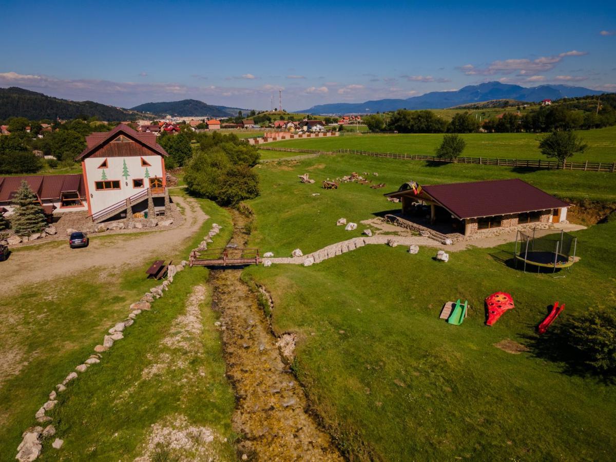 Pensiunea 3 Brazi Zarnesti Exterior photo