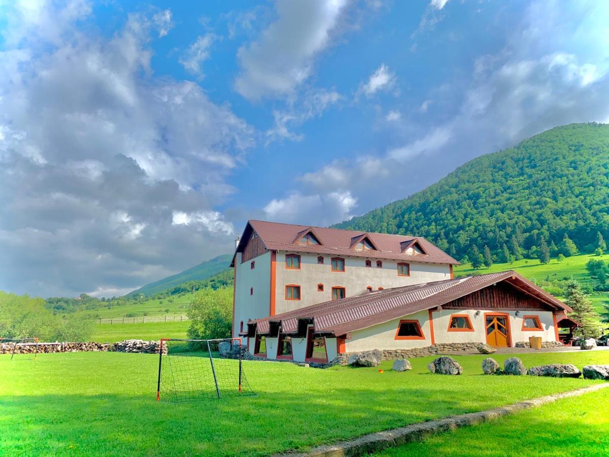 Pensiunea 3 Brazi Zarnesti Exterior photo